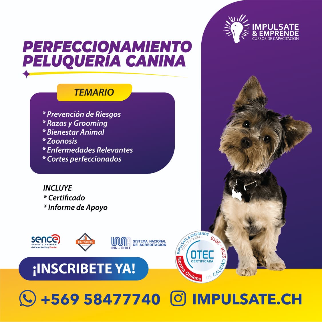 Perfeccionamiento Peluqueria Canina